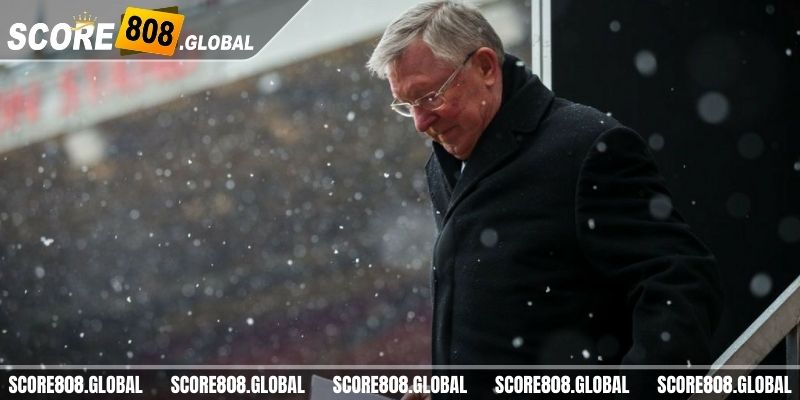 Berita Alex Ferguson - Keberhasilan di panggung Eropa